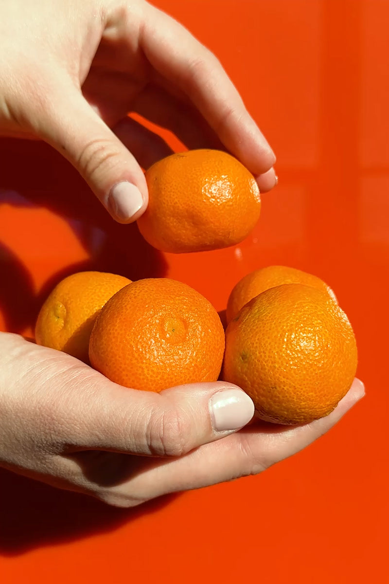 ¿Vitamina C de día? Cómo usar Fluide [C20] BIOTIC 🍊☀️