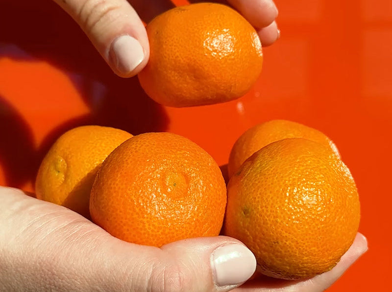 ¿Vitamina C de día? Cómo usar Fluide [C20] BIOTIC 🍊☀️